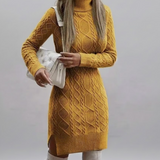Prunellia | Robe tricotée à col montant