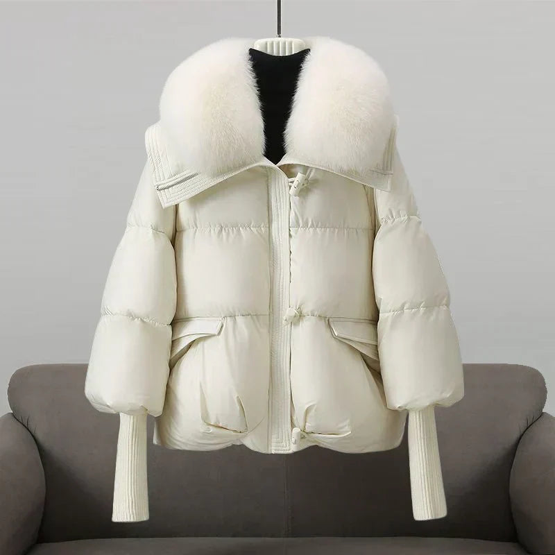 Inde - Manteau Parfait pour l'Automne