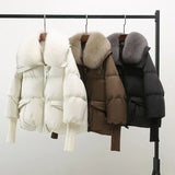 Inde - Manteau Parfait pour l'Automne