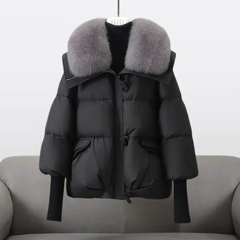 Inde - Manteau Parfait pour l'Automne